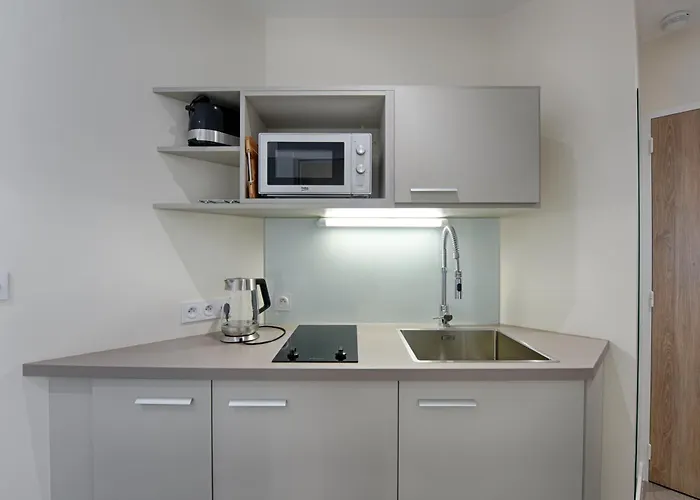 Le Baron Centre - Garage Prive - Wifi Fibre - Classe 3 Etoiles *