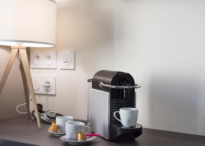 Le Baron Centre - Garage Prive - Wifi Fibre - Classe 3 Etoiles 公寓 绍莱